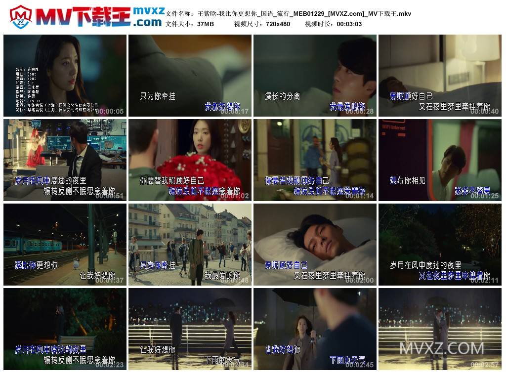 王紫晗-我比你更想你_国语_流行_MEB01229